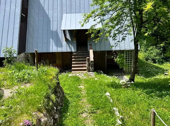 ~chalet_rifugio Tra I Boschi~